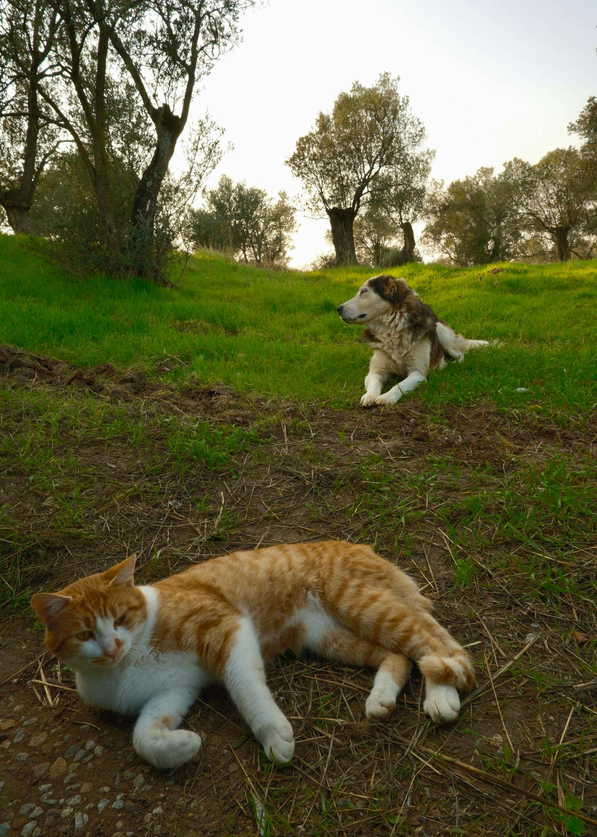 보험료 30% 줄이고 보장은 유지하는 법｜2025년 실전 절약 가이드