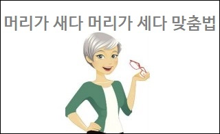 머리가 새다 머리가 세다 맞춤법