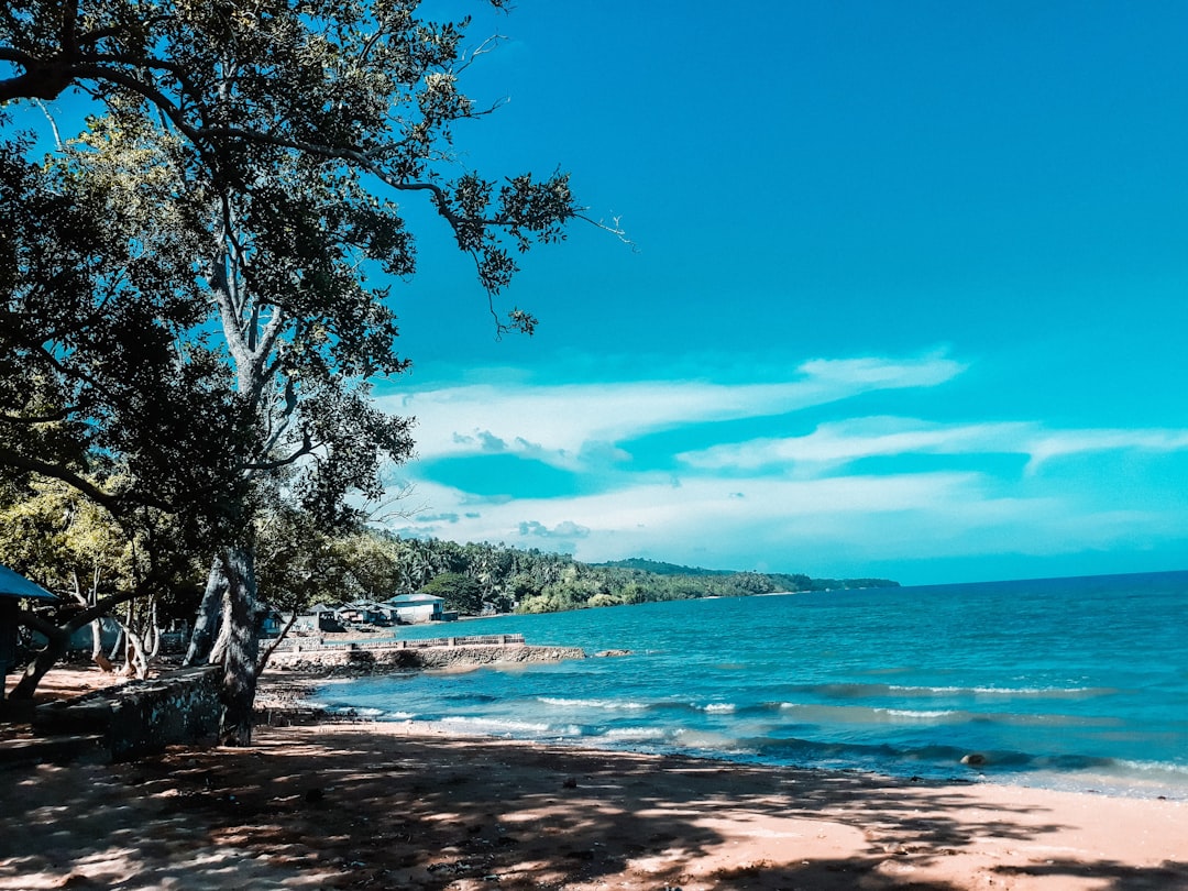 Cebu