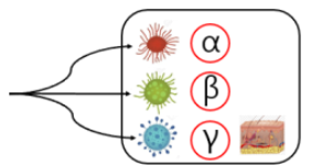 스티바에이크림 성분