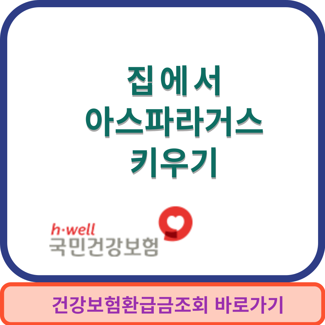 아스파라거스썸네일