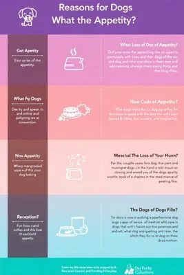 환경 요인 개선