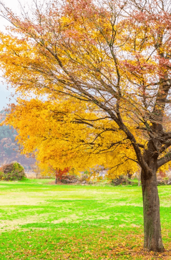 2023λ
λ¨νμκΈ° μμΈ‘μ§λ