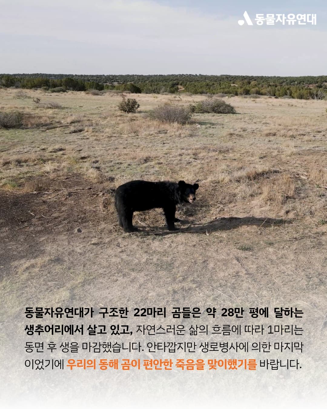 해외 사례에서 배우는 야생 방사의 기준