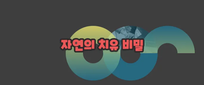 강황 효능 한번 정확하게 알아보도록 하죠
