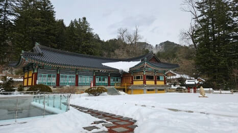 평창 월정사 : 천년의 전나무 숲길과 불교 예술의 정수 한국 불교를 대표하는 산중 대가람