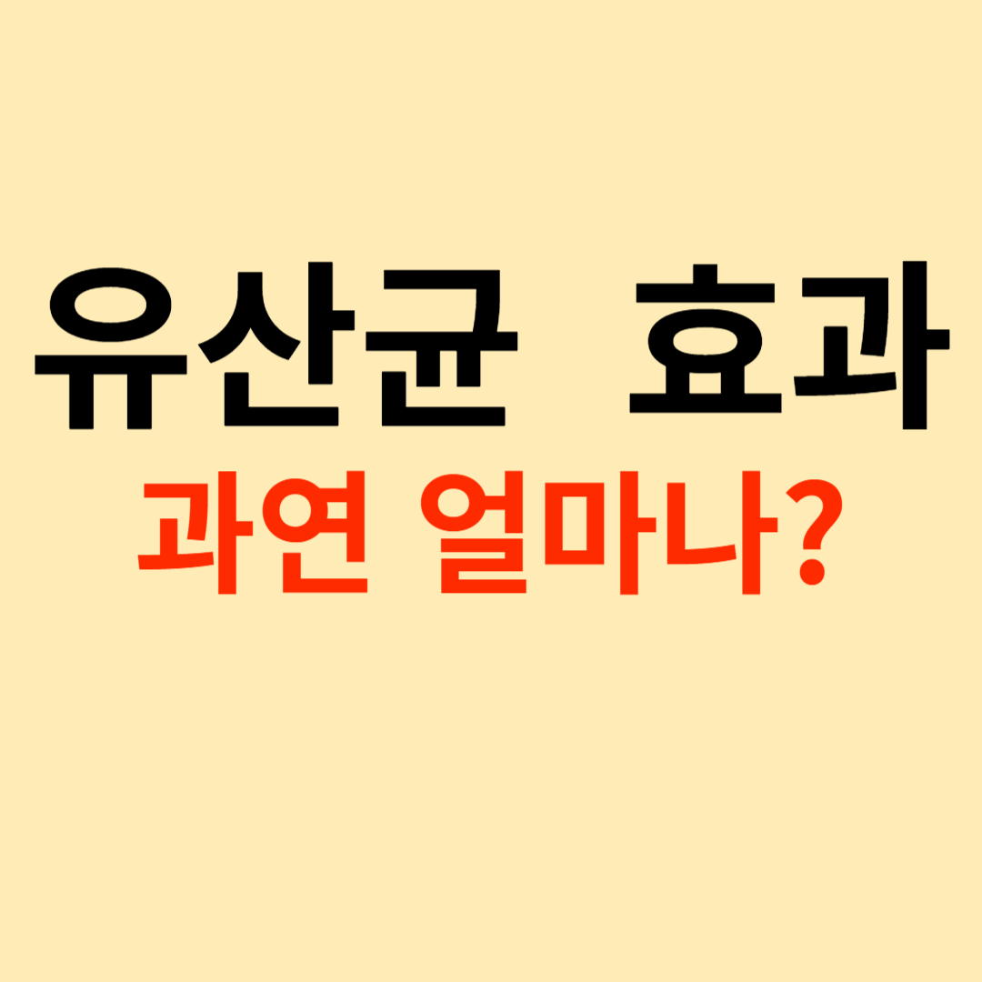 유산균 효과