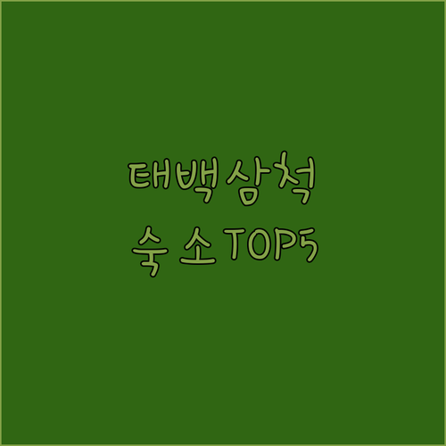태백 삼척 여행 숙소 추천 TOP 5..
