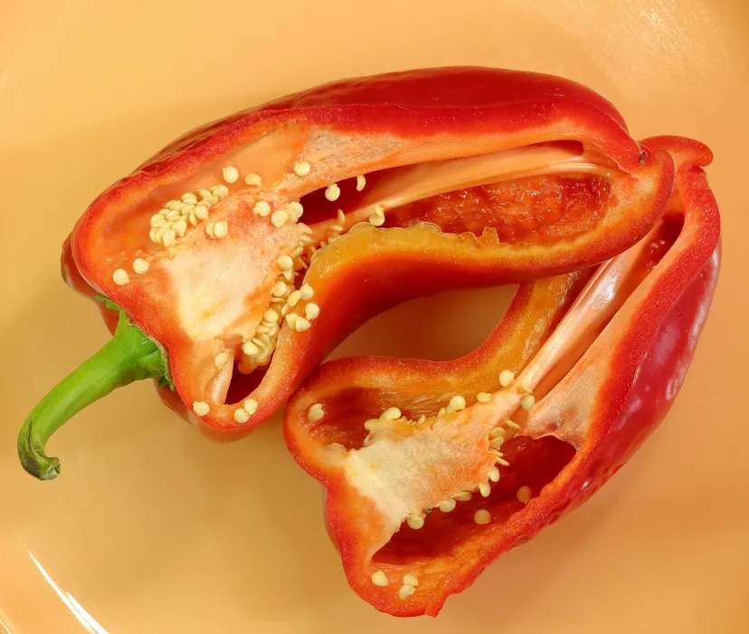 반으로-자른-파프리카-사진