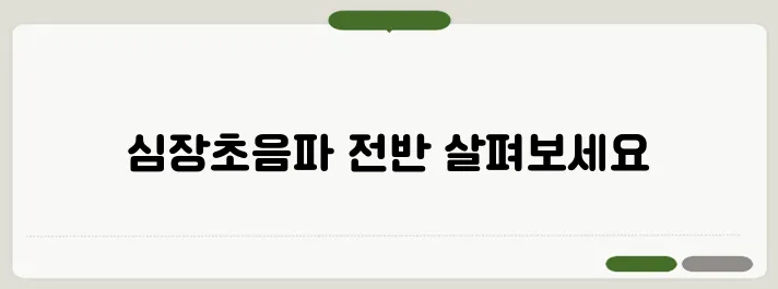 심장초음파 검사방법 절차와 비용까지 총정리