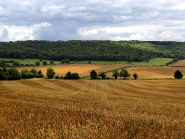귀농에 대하여 알아보기
