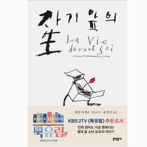 에밀 아자르 - 자기 앞의 생