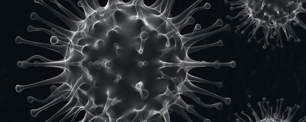 에이즈 바이러스