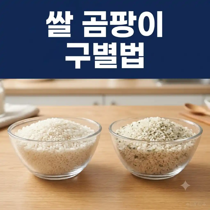 쌀 곰팡이 구별을 위한 정상 쌀과 변색 쌀 비교