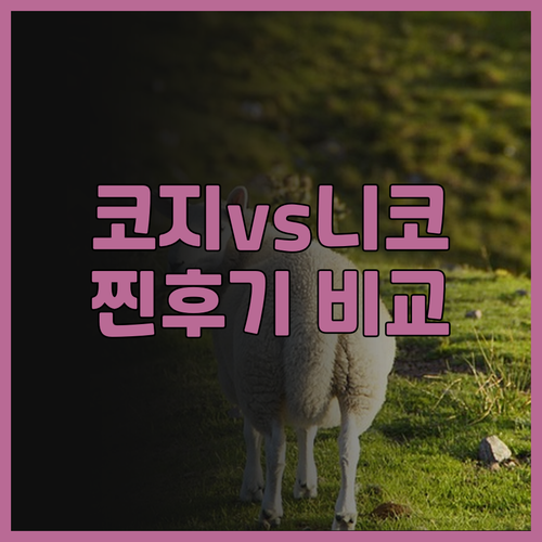 가오슝 호텔 고민 끝! 호텔 코지 v..