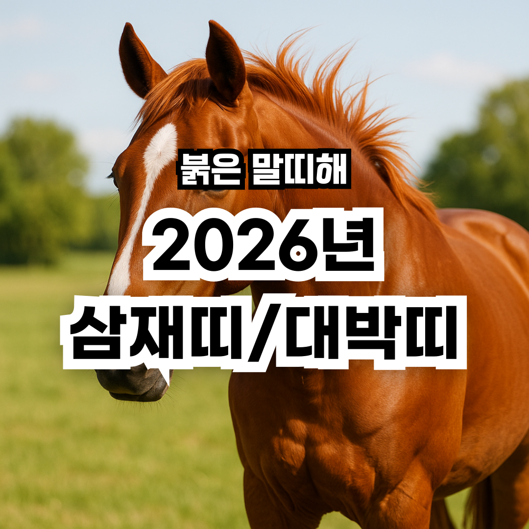 2026년-삼재띠