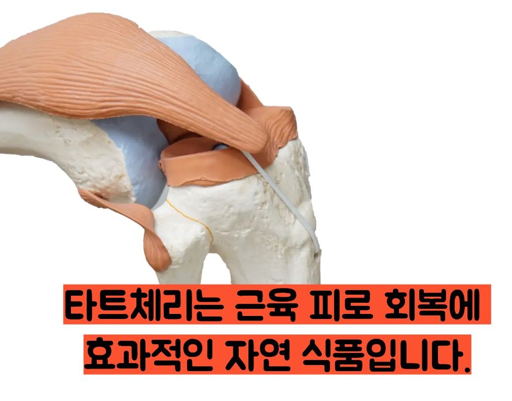 타트체리 효능
