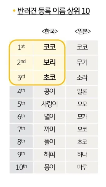 반려견 이름 작명 독특한 강아지 이름 제안_5