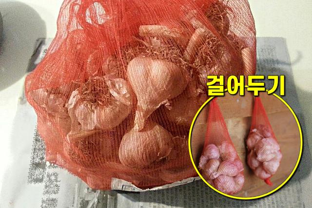 마늘 냉장고 보관, 팁줌