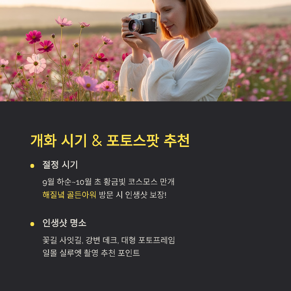 개화 시기 &amp; 포토스팟 추천