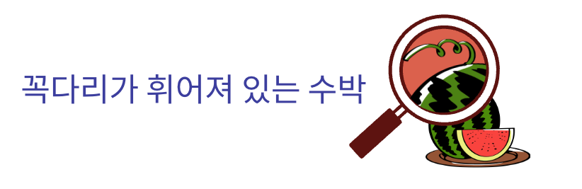 꼭다리가 휘어져 있는 수박