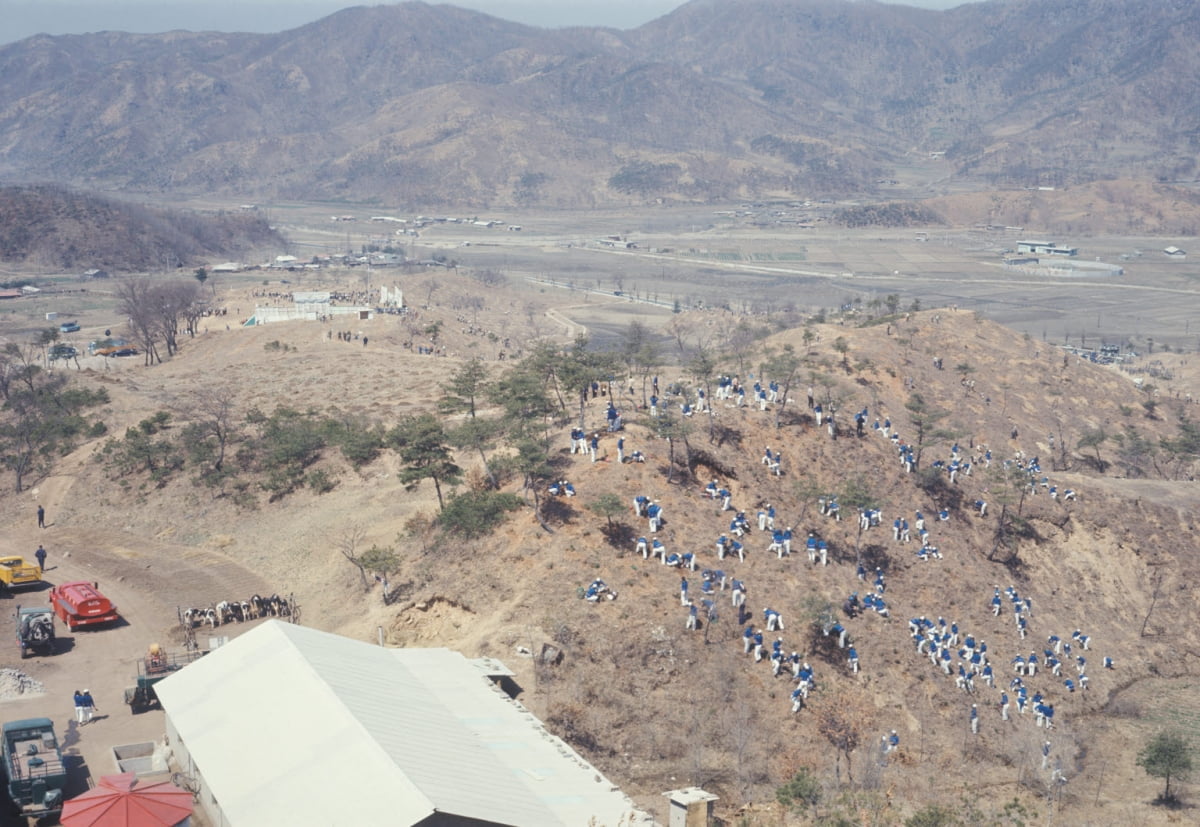1960년대까지 한반도의 산은 대부분 민둥산이었다. 박정희 정부는 산림녹화 사업을 시작했다. 국민들은 배고픈 시절임에도 떼지어 산에 나무를 심으러 갔다.