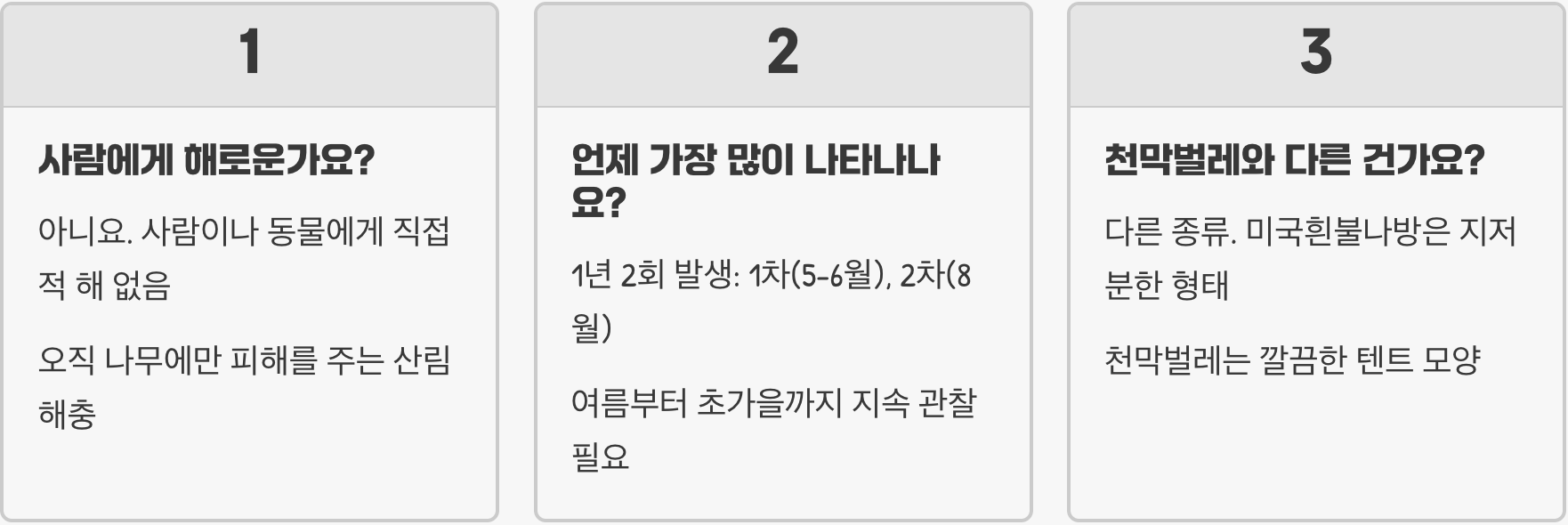 미국흰불나방 생기는 이유, 원인부터 잡아야 재발 안 합니다 (외부 유입)