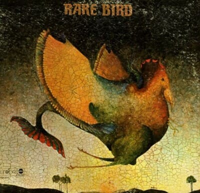 레어 버드