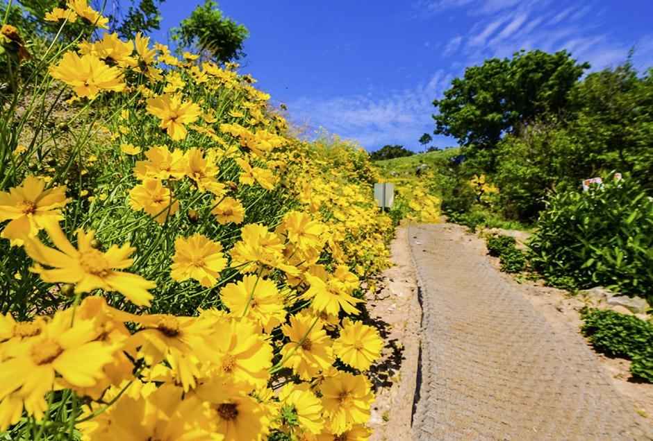 지세포진성 꽃동산