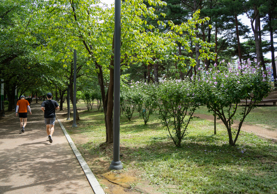만석공원 무궁화