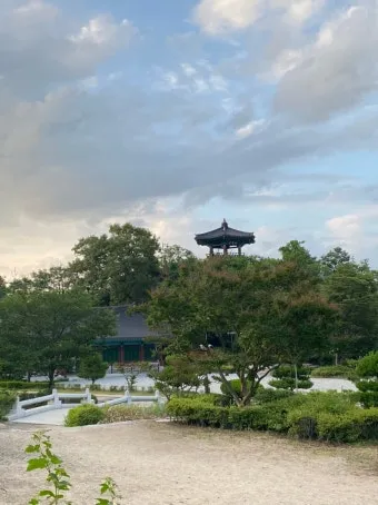 영천 가볼만한곳 맛집 카페 추천 여름 사진 명소_18