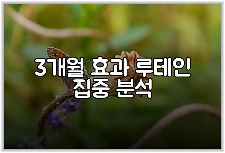 3개월 효과 루테인 집중 분석