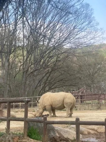 서울대공원 캠핑장 둘레길 동물원 입장료 맛집_14