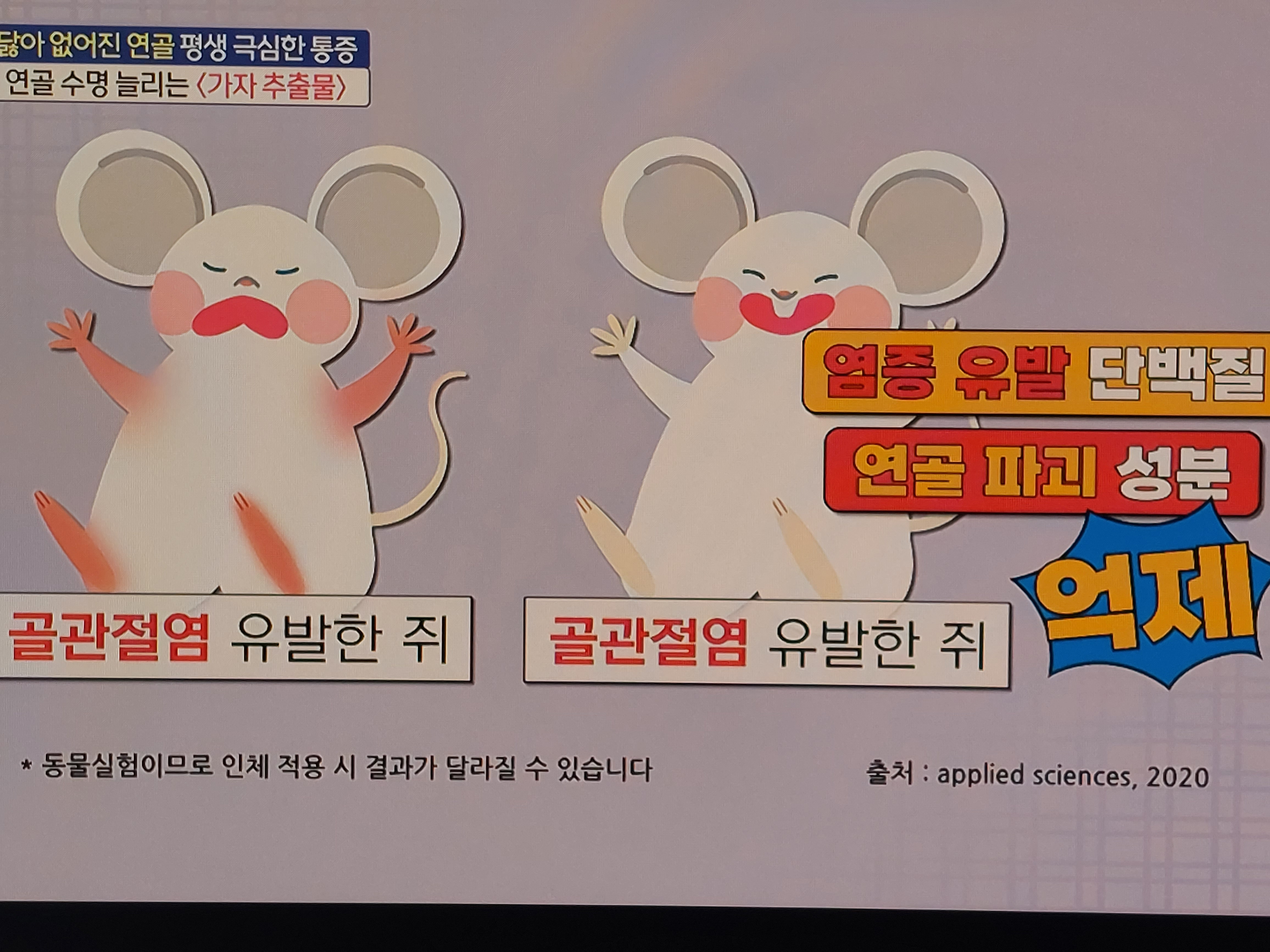 가자추출물 효능