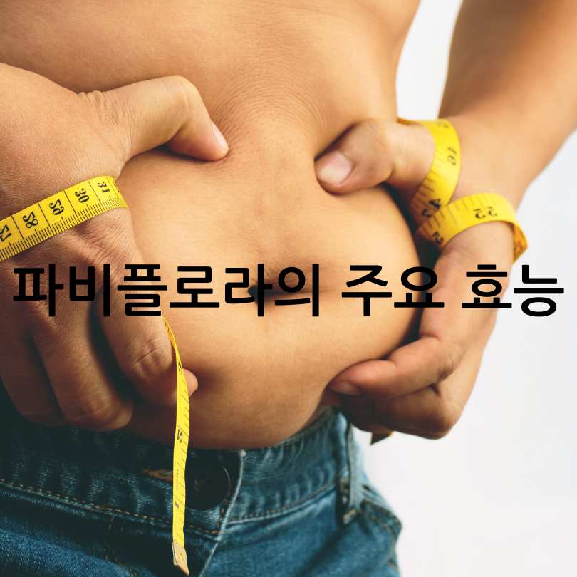 파비플로라 효능