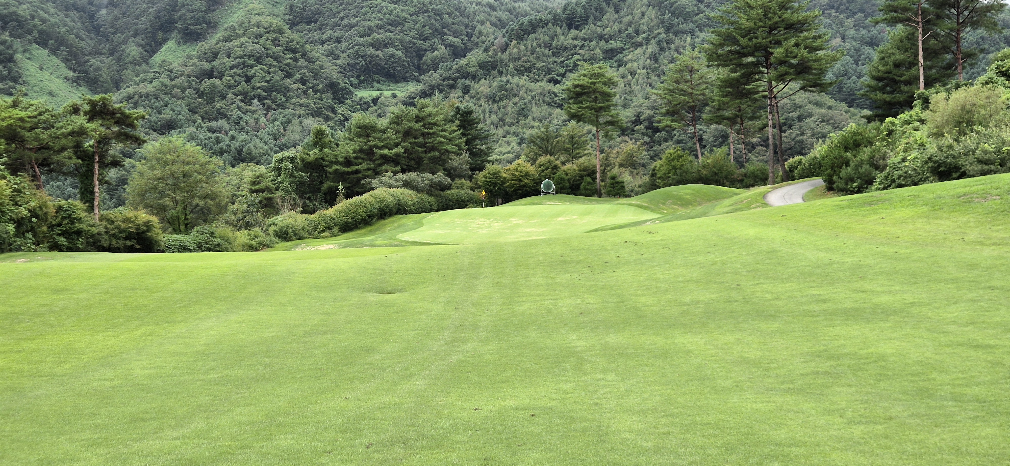 더플레이어스cc