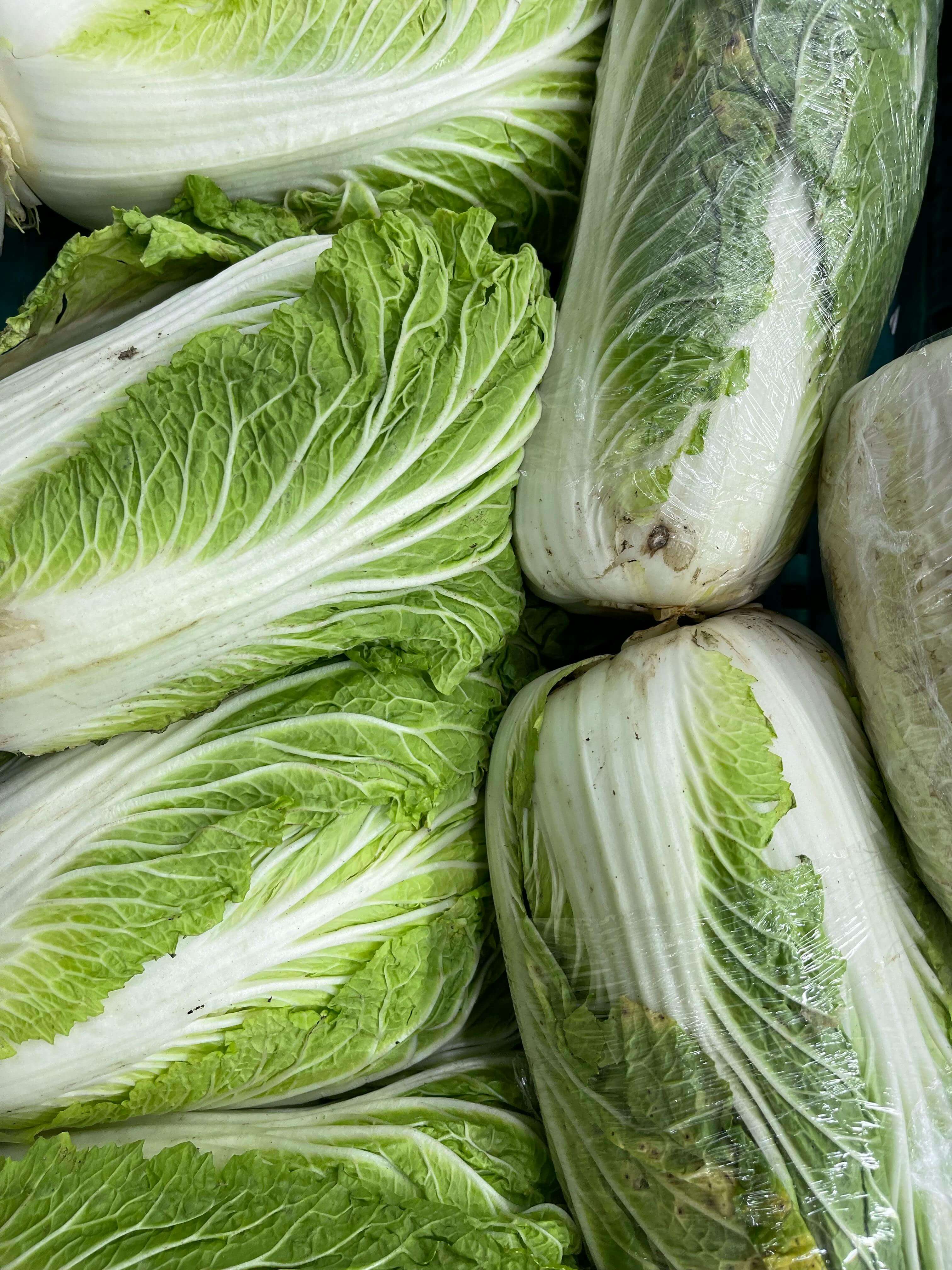 절임배추 20kg 몇 포기? 고랭지배추 해남배추 가격 비교