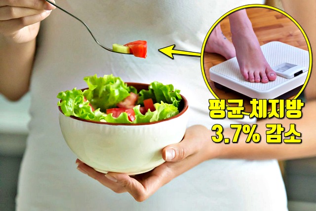 다이어트 식이요법,하루 섬유질 섭취량,감량 탄단지 비율
