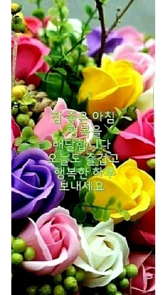 아침 인사로 좋은 글 이쁜글 기분좋은 인사말_13