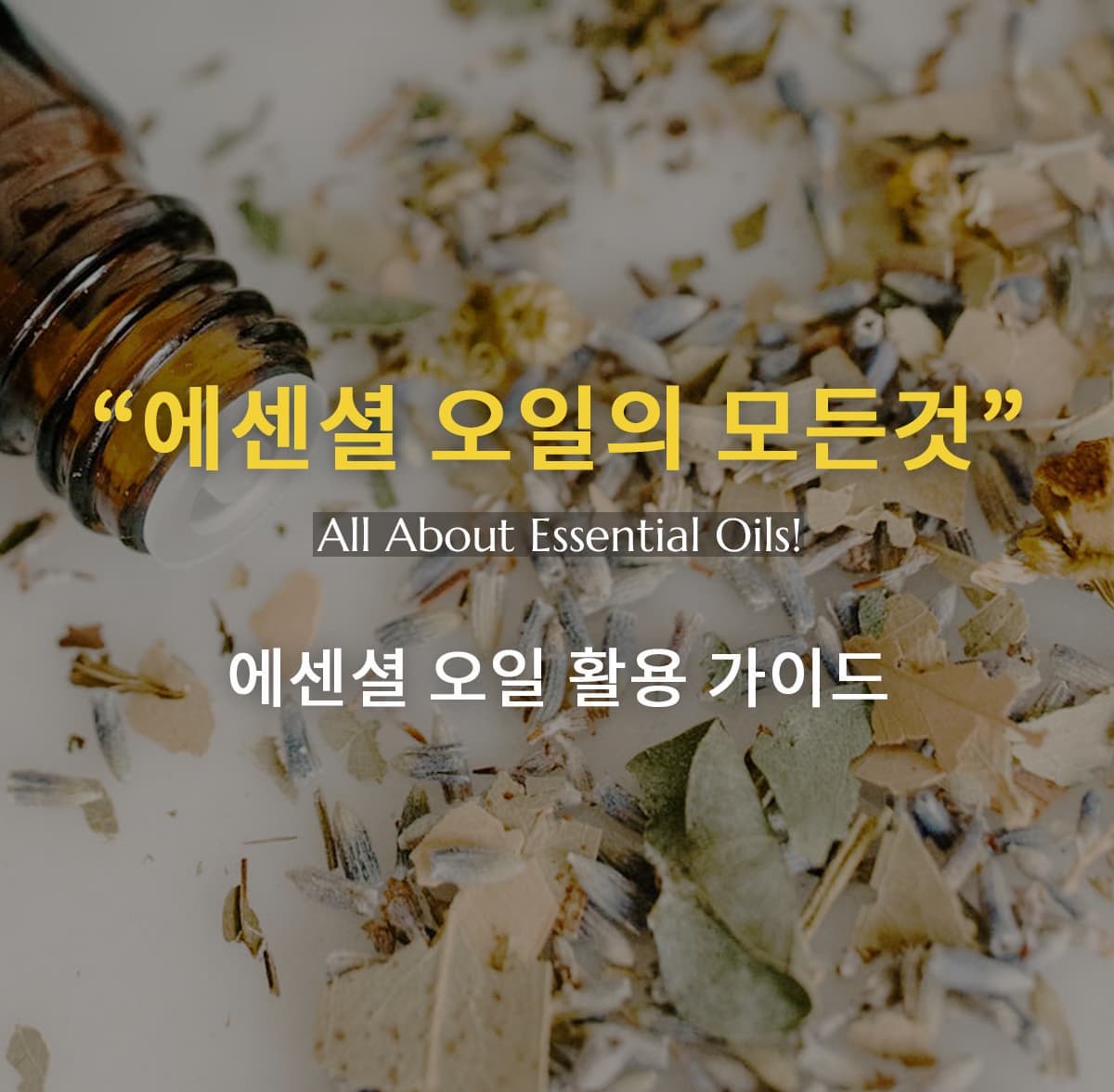 에센셜 오일의 모든 것! 활용 가이드