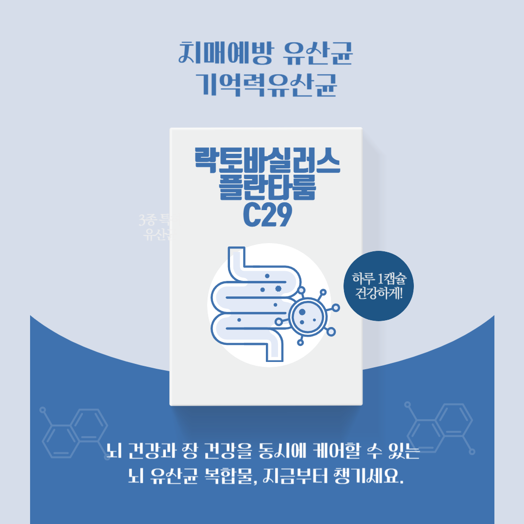 뇌건강유산균, 치매예방유산균, 기억력유산균 구매하기
