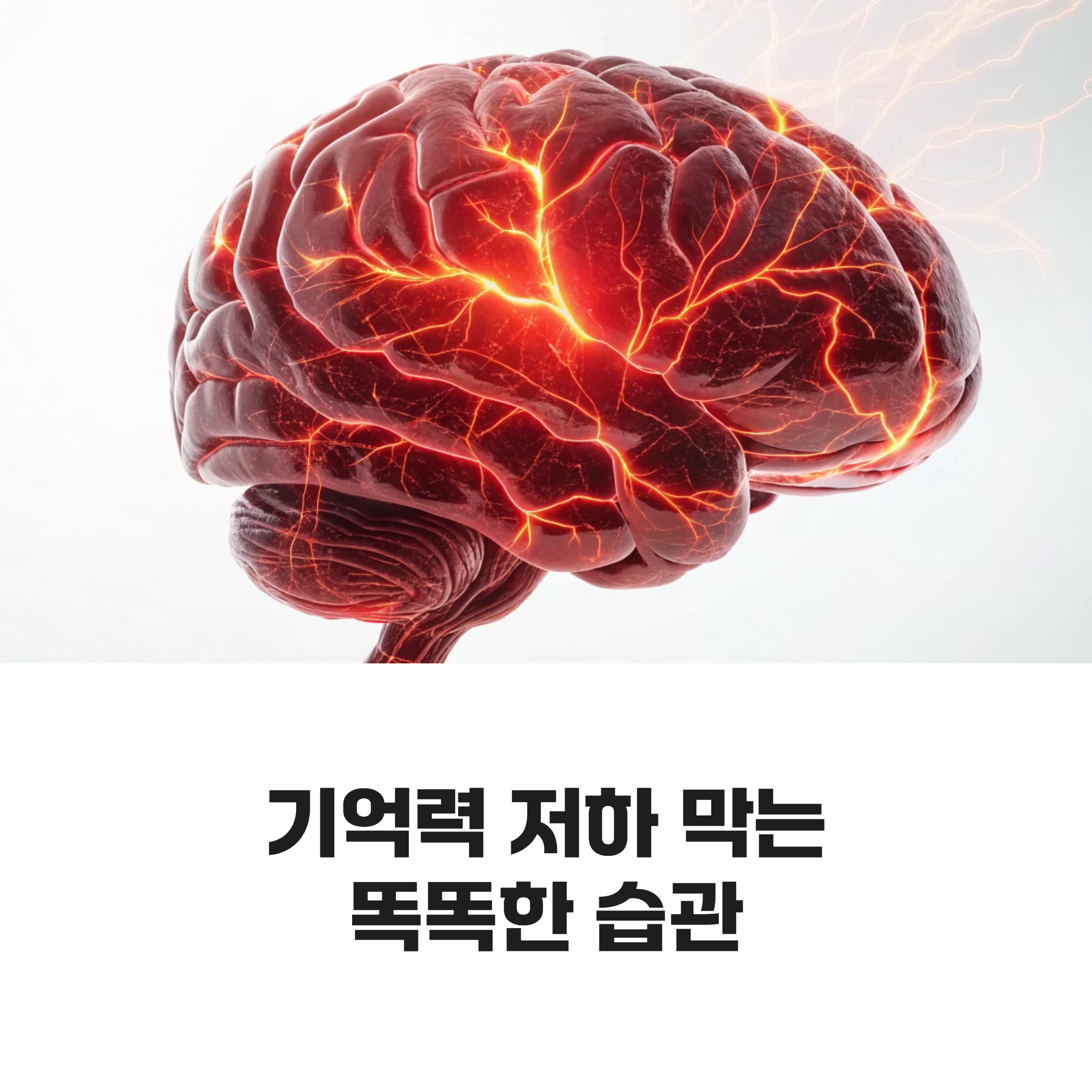 기억력 저하 막는 생활 습관