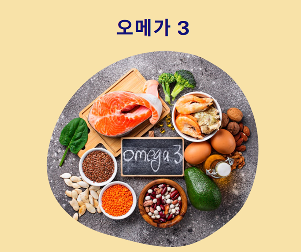 오메가3 그림