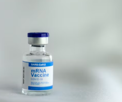 백일해 예방접종 가격 비교