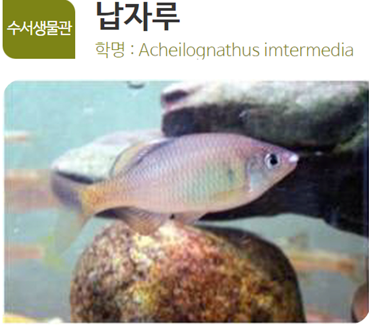 아산 생태곤충원