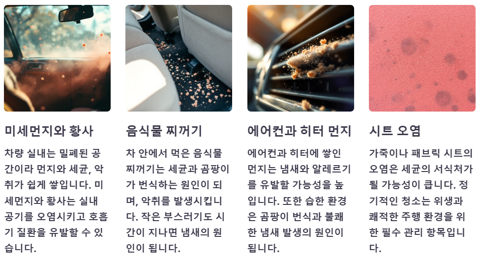 실내 크리닝 해야하는 이유