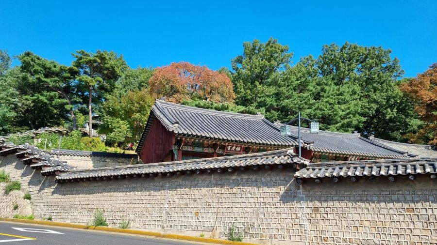 담너머 보이는 저경궁, 기와가 아름답습니다.