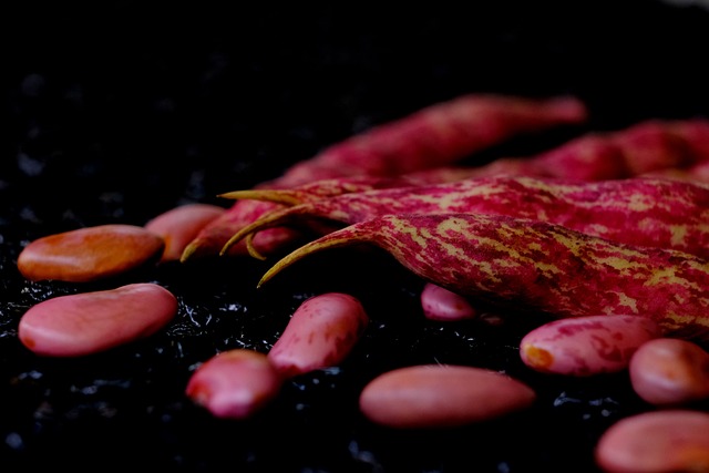 팥 6가지 효능 및 삶는 법 (+ 부작용 가격 심는 시기)