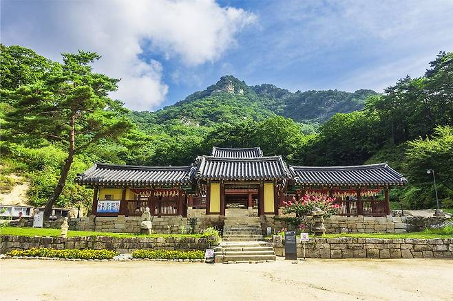 청평사 – 천년 역사를 간직한 사찰에서 봄맞이 힐링