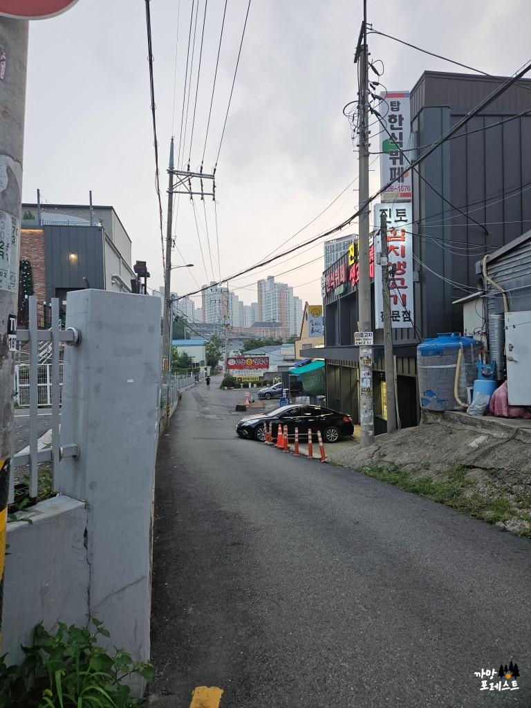 진토 김치 생고기 위치